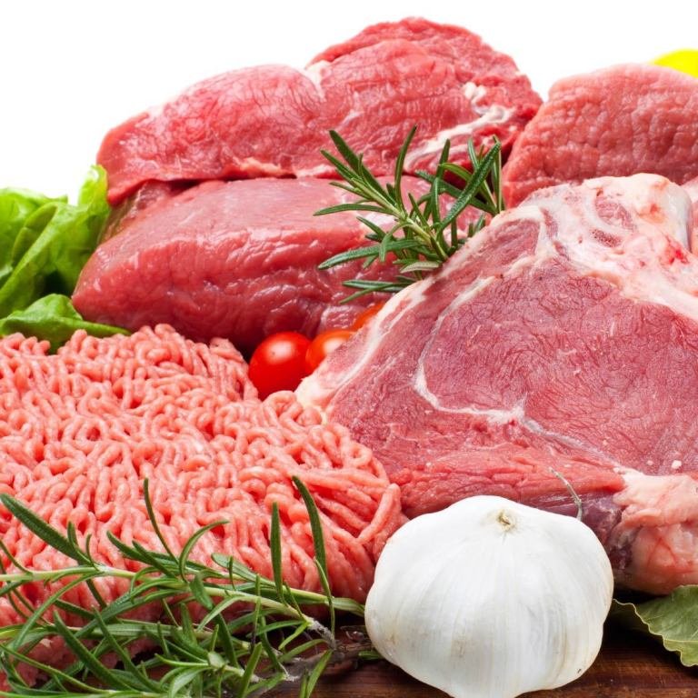 food for bengal cats